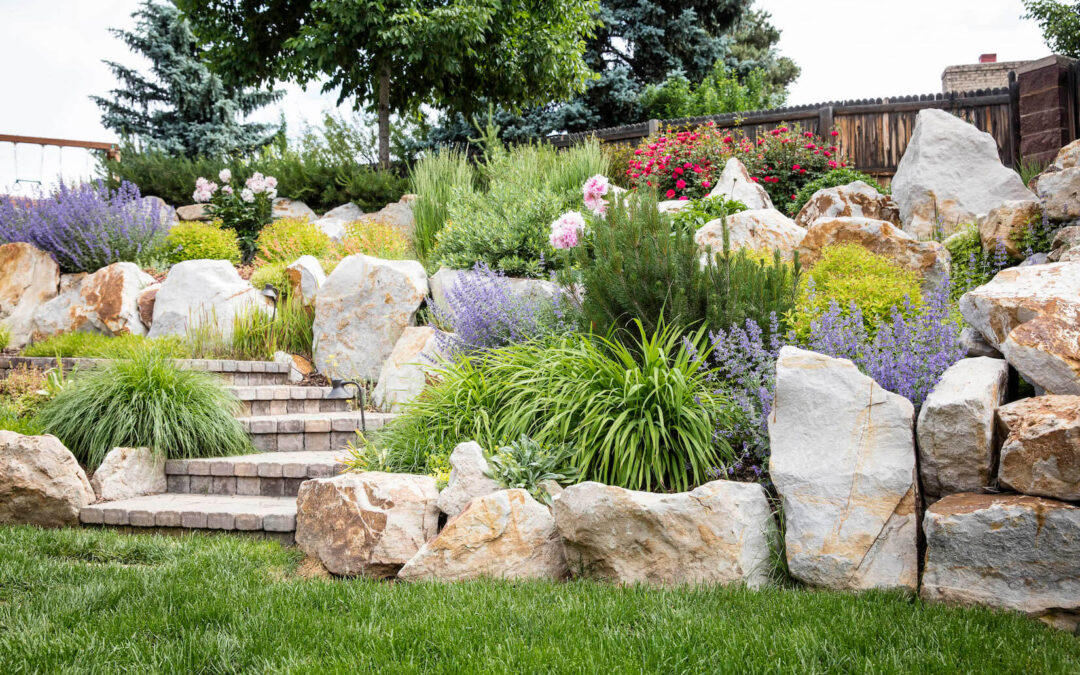 Colorado Hillside