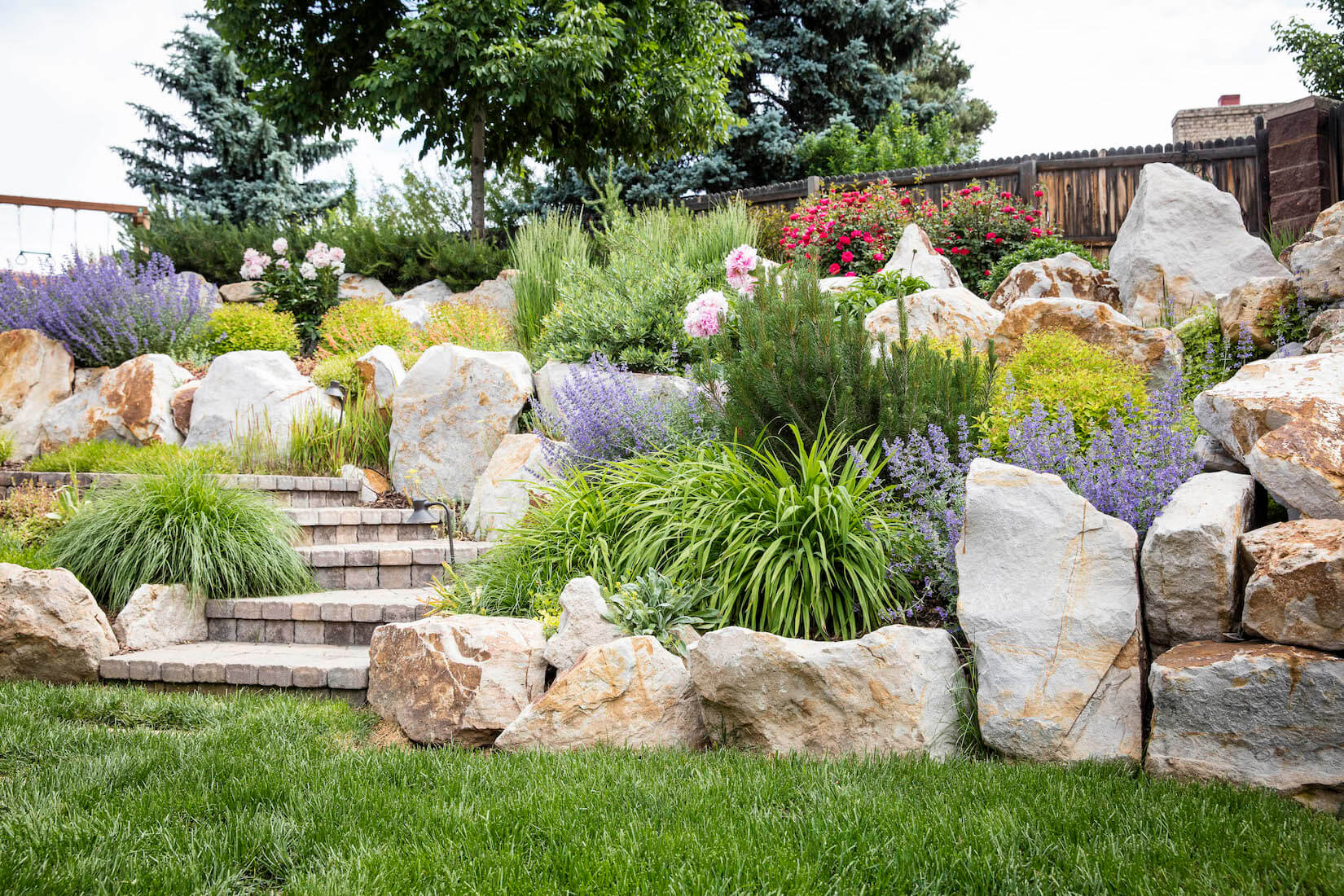 native colorado plant landscaping ideas