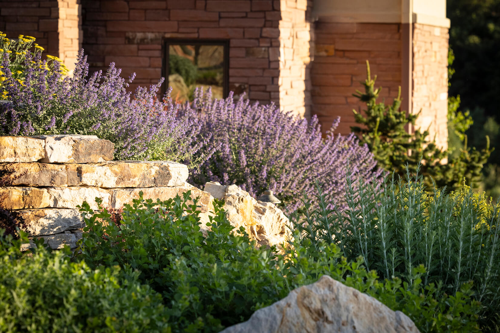 annuals in colorado