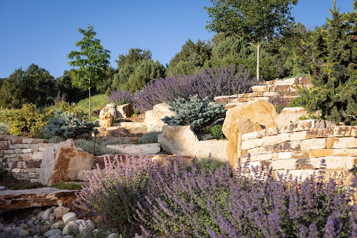 drought tolerant landscape