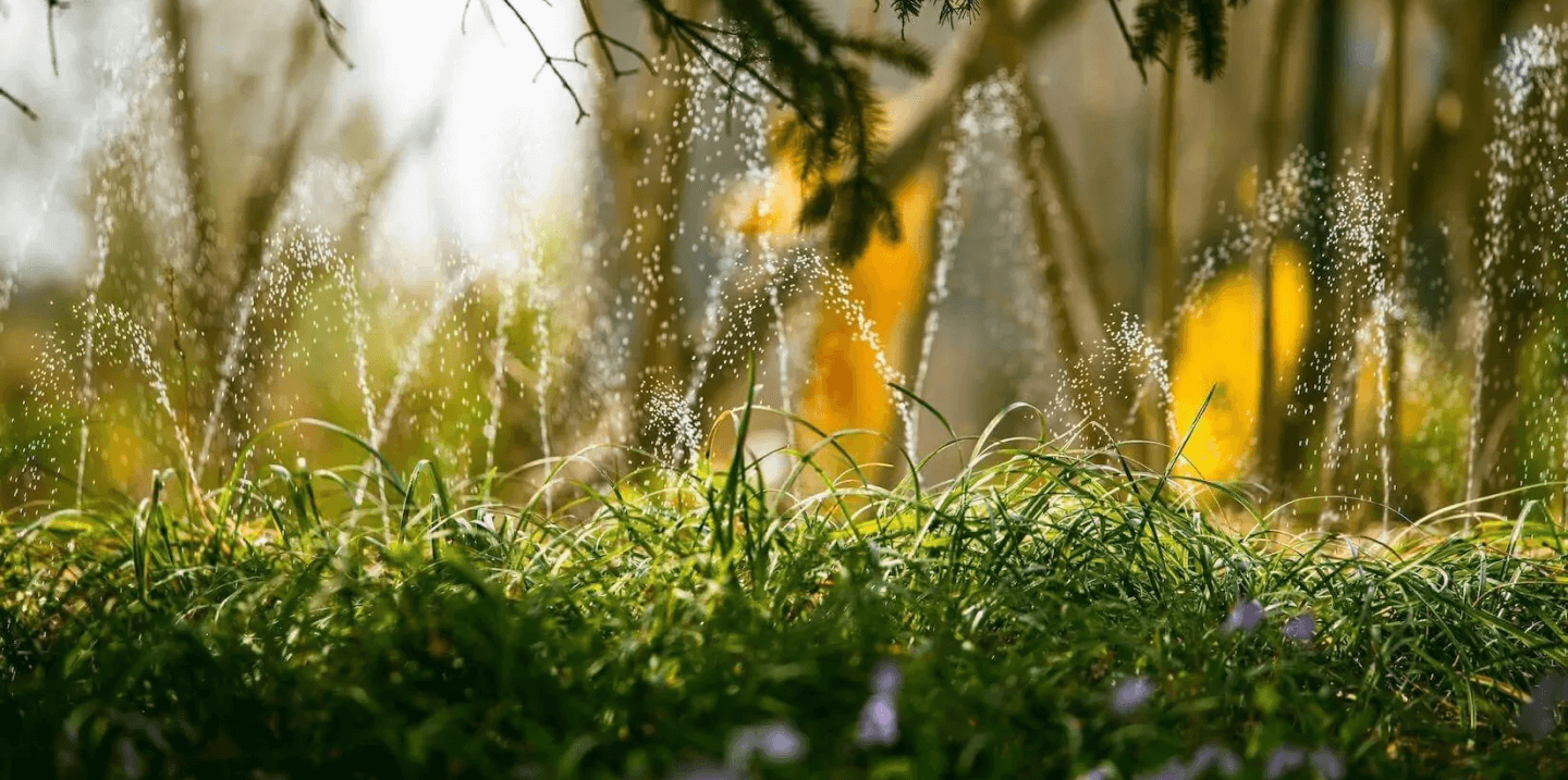 smart irrigation services