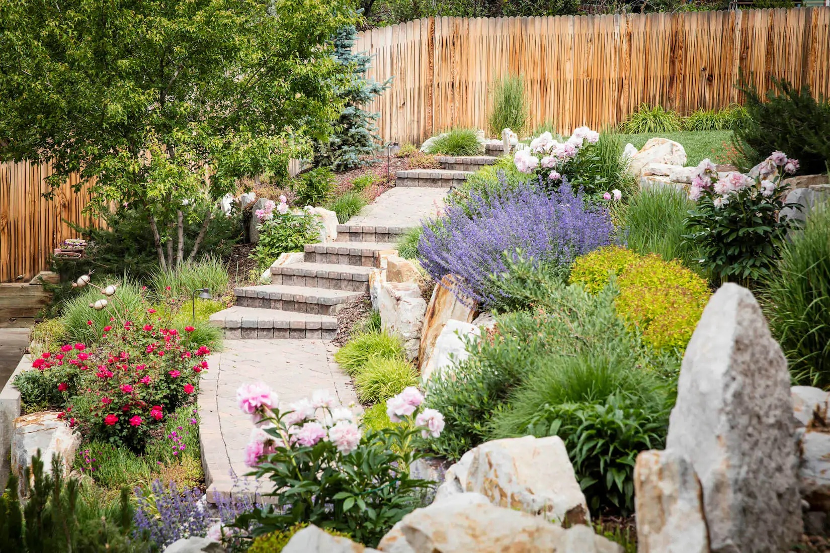 irrigation services denver