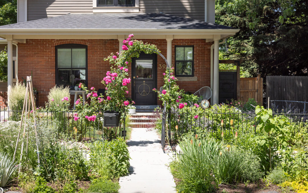 Creative Side Yard