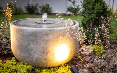 Integrating Water Features into Your Summer Landscape