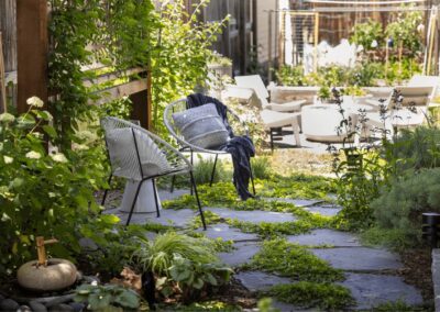 backyard design with plants