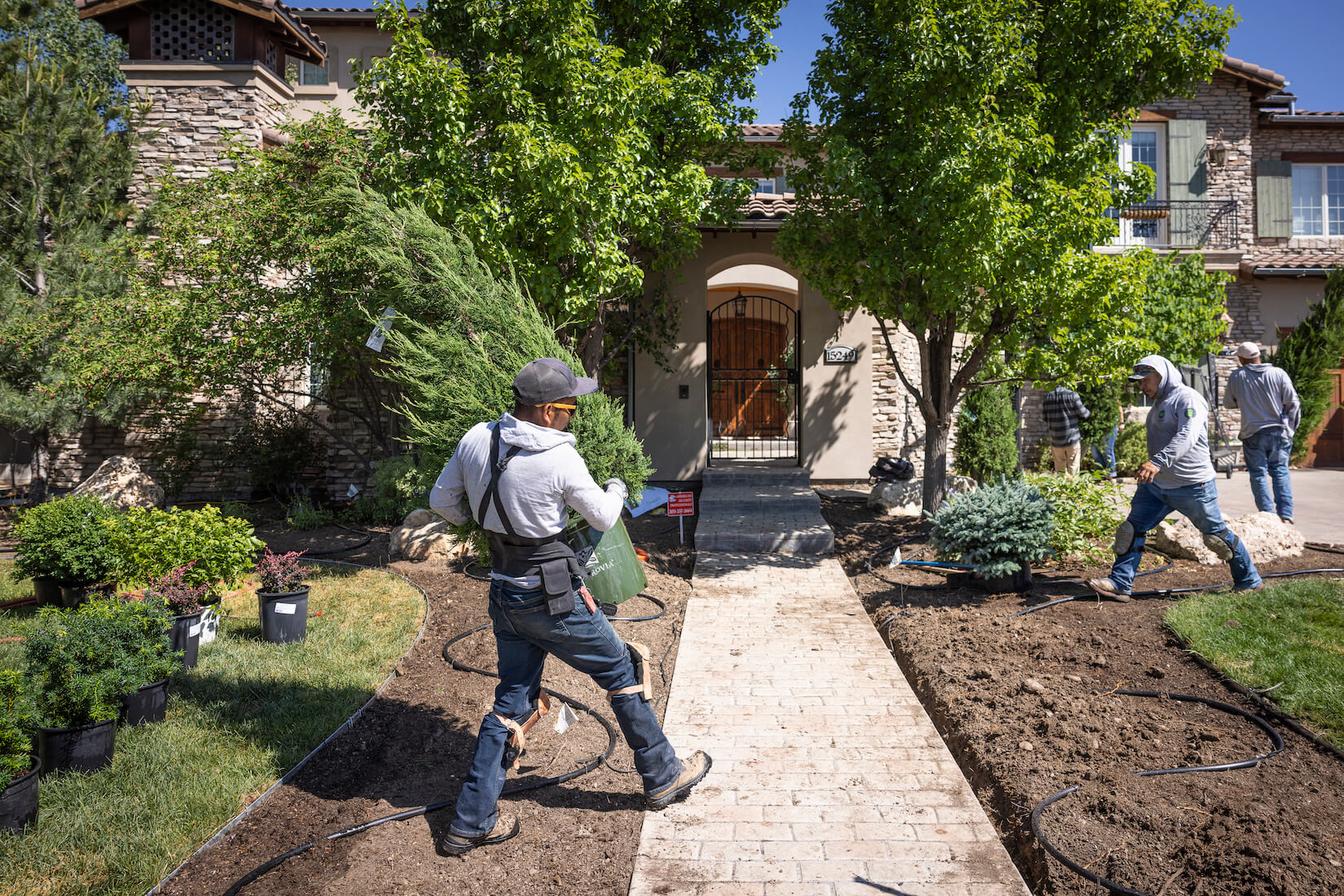 denver landscaping services