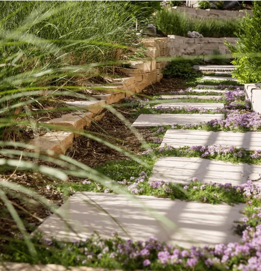 landscape design tips