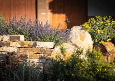 landscape plants in colorado