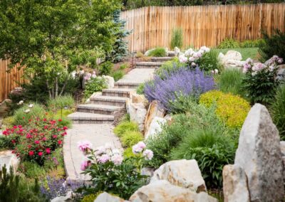 landscaping with colorado native plants