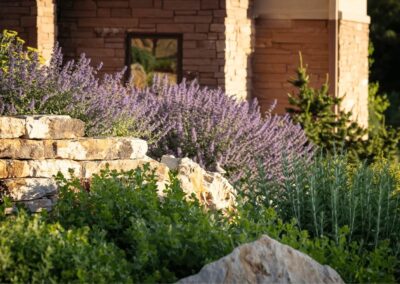 mountain plants for landscapes