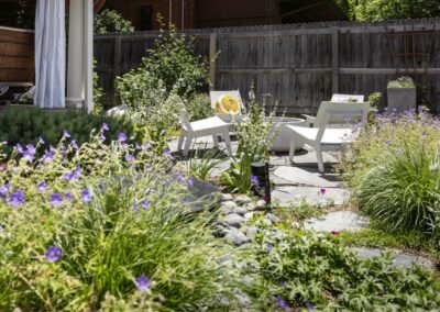 native plants in landscape