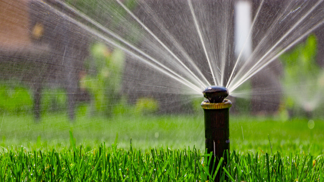 sprinkler system installation