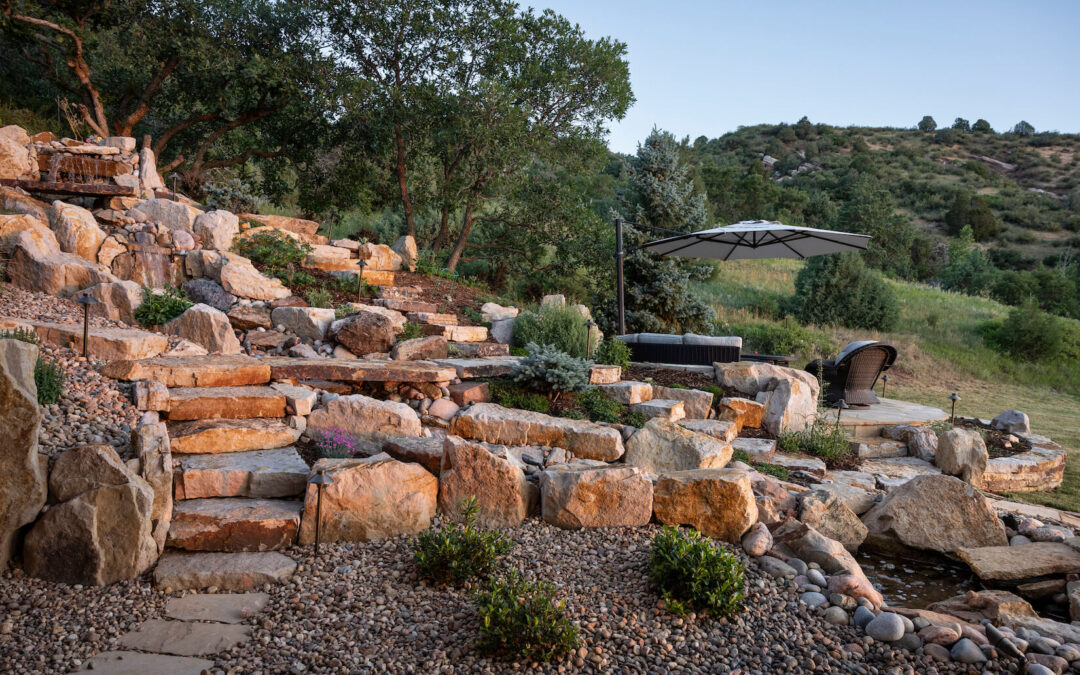 Creating a Drought-Tolerant Landscape: Tips and Tricks