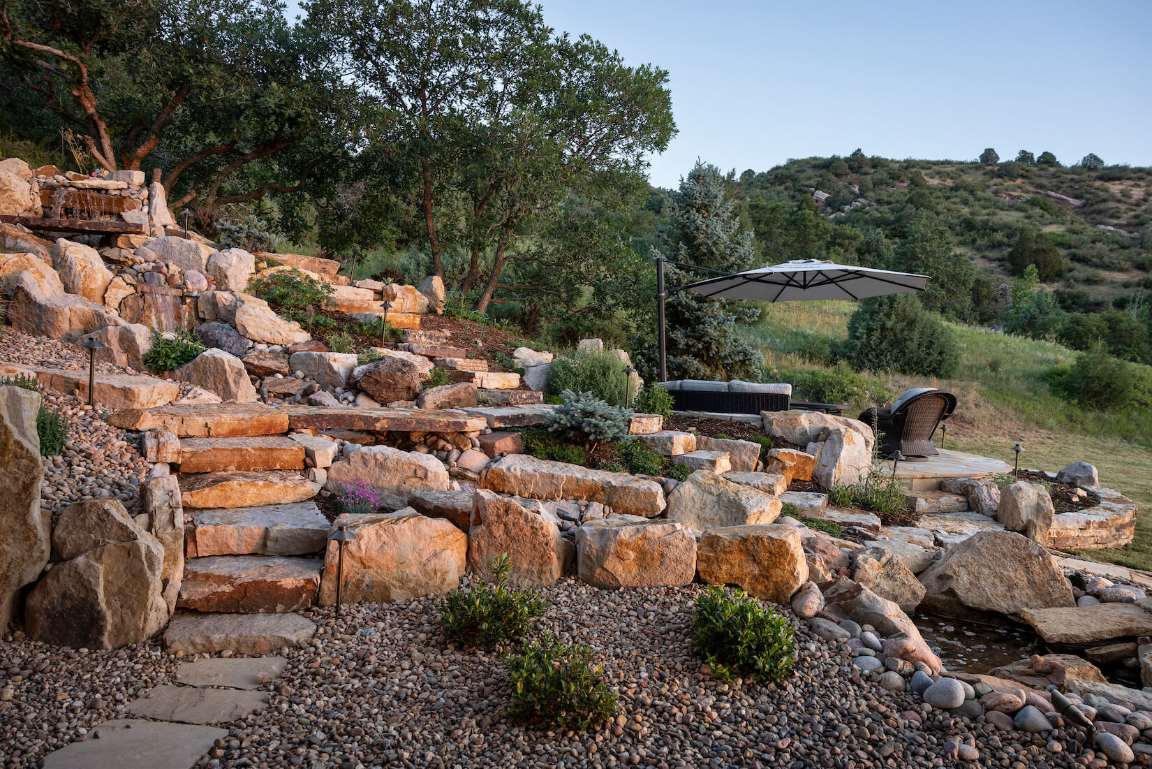 drought tolerant landscape