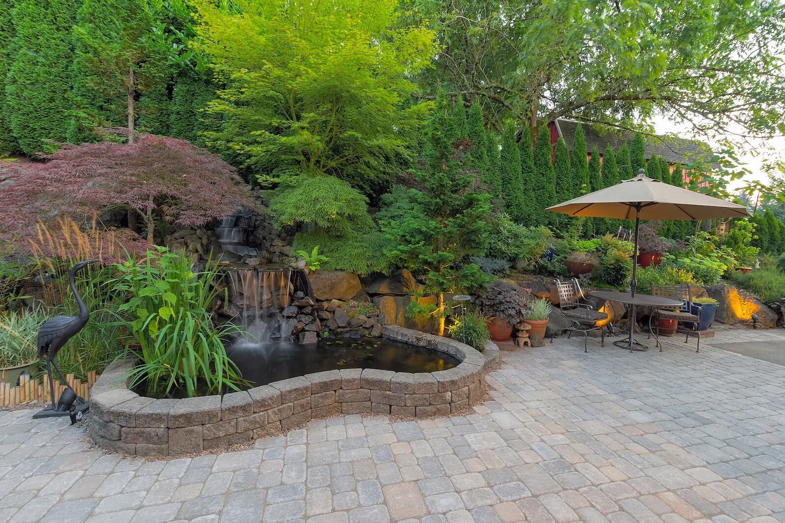 backyard sanctuary