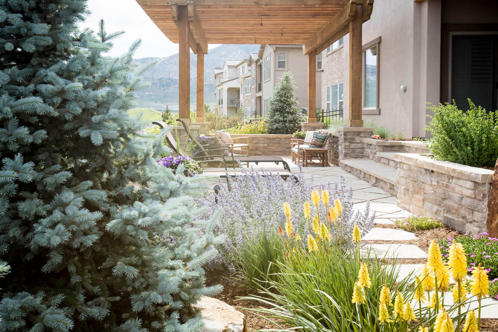 alternatives to grass