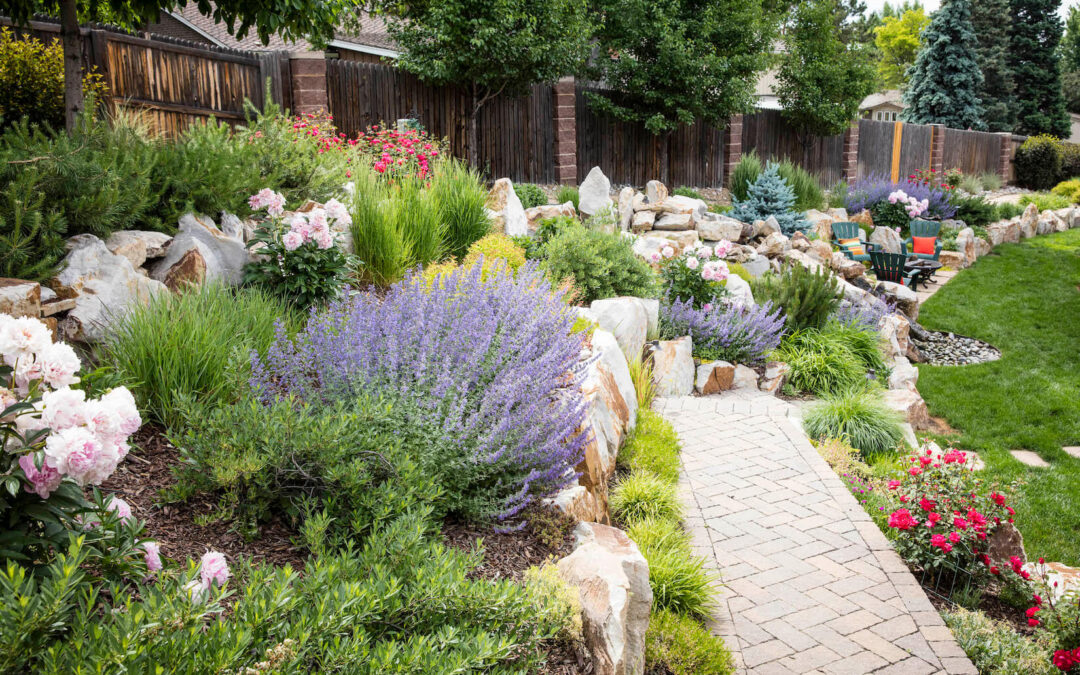 Grass Lawn Alternatives to Love
