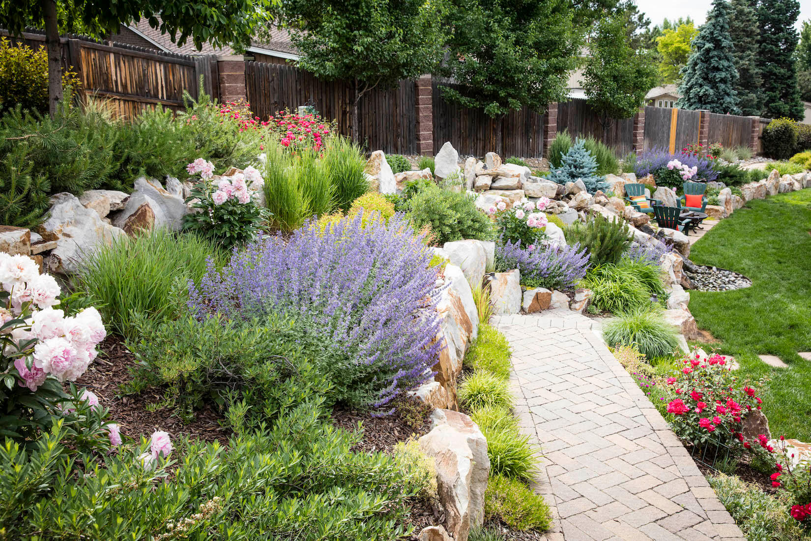 grass alternatives for yard