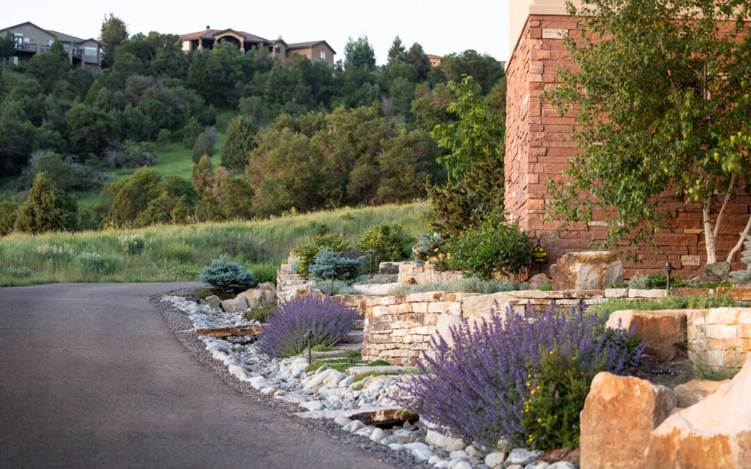 Statement Shrubs for Your Colorado Landscape