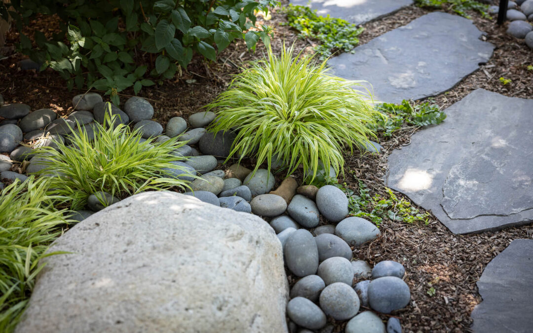 How Often Should I Water My Garden?