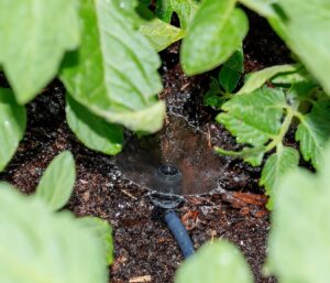 what is a drip irrigation system