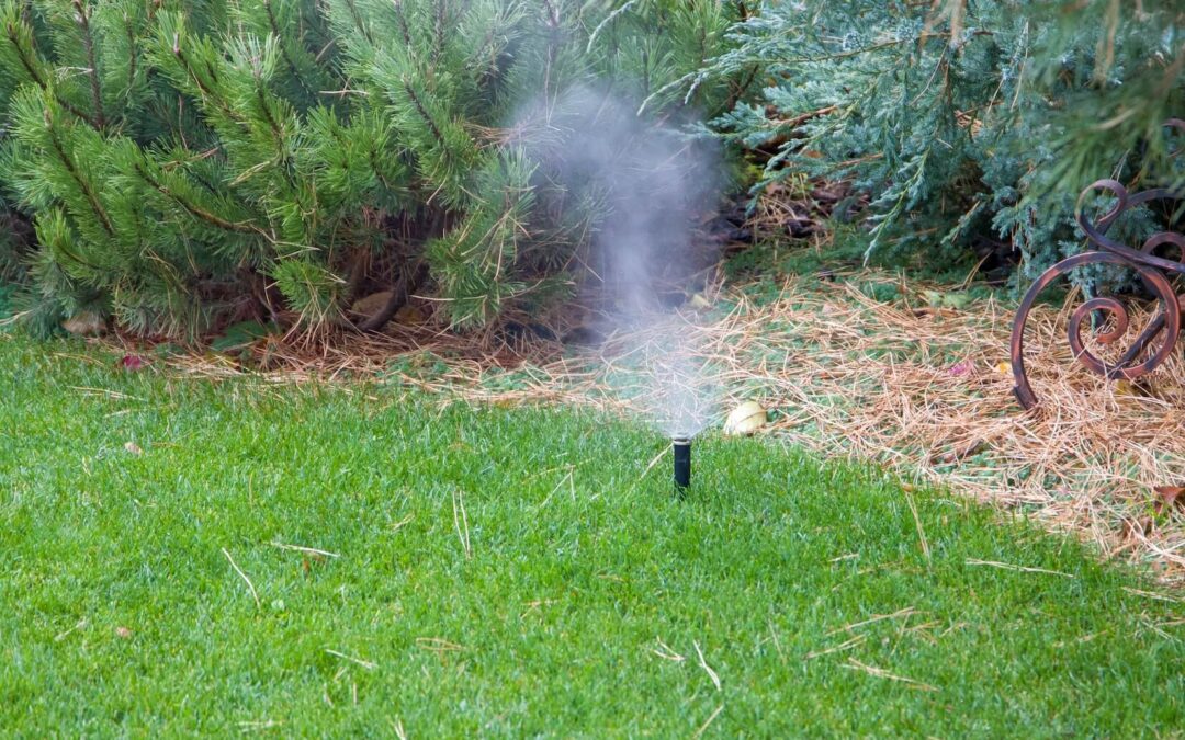 What Happens If You Don’t Winterize Your Irrigation System?