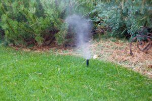 winterizing irrigation system