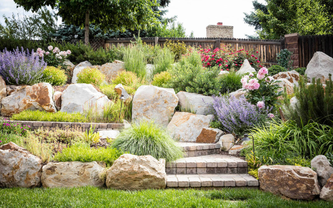 Fall Is for Planting: What to Plant in the Fall Planting Season