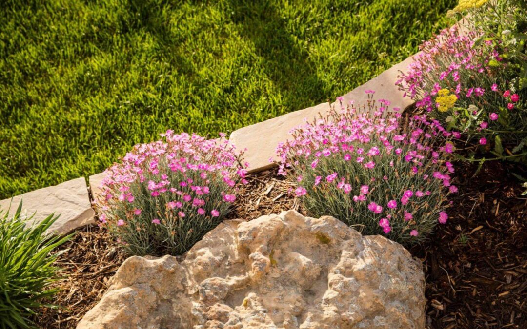 How to Separate Your Front Yard from Your Neighbors