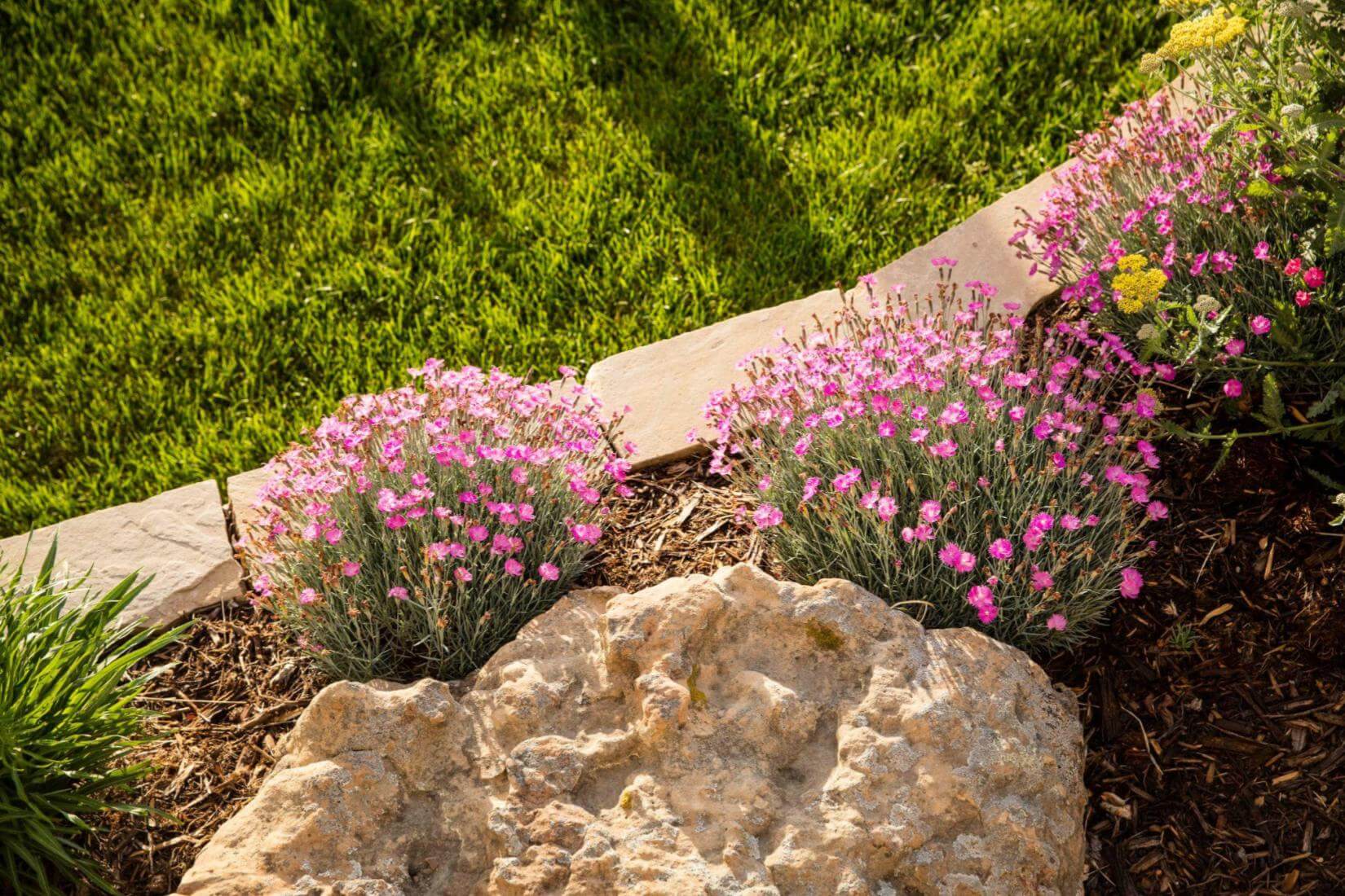 How to Separate Your Front Yard from Your Neighbors How to Separate Your Front Yard from Your Neighbors