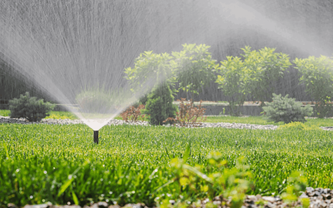 What Is an Irrigation System?