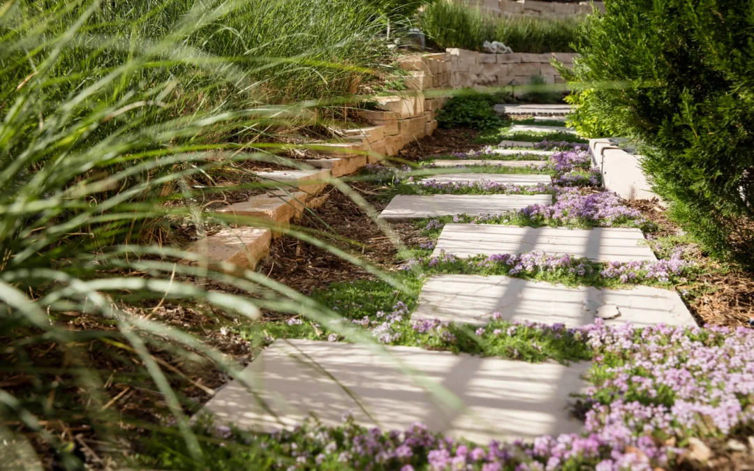 Lawn Reduction Ideas That Save Water During Colorado Summers