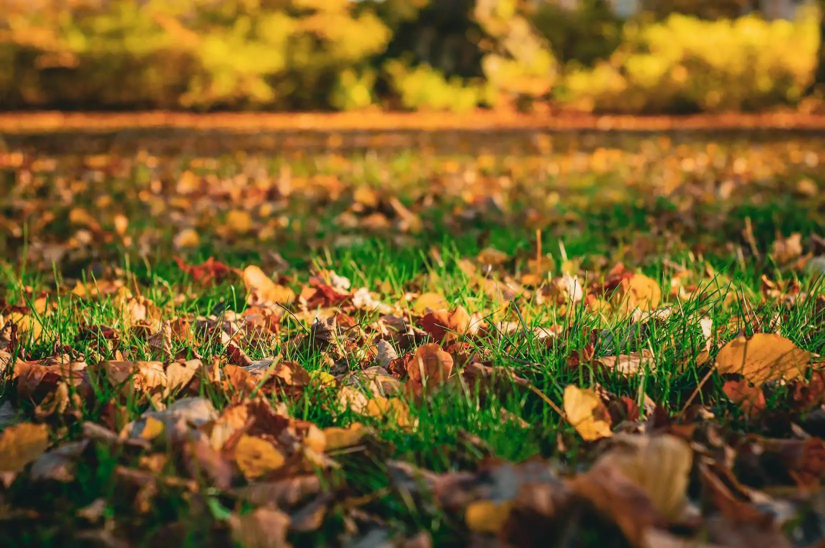 landscape-maintenance-checklist landscape maintenance checklist