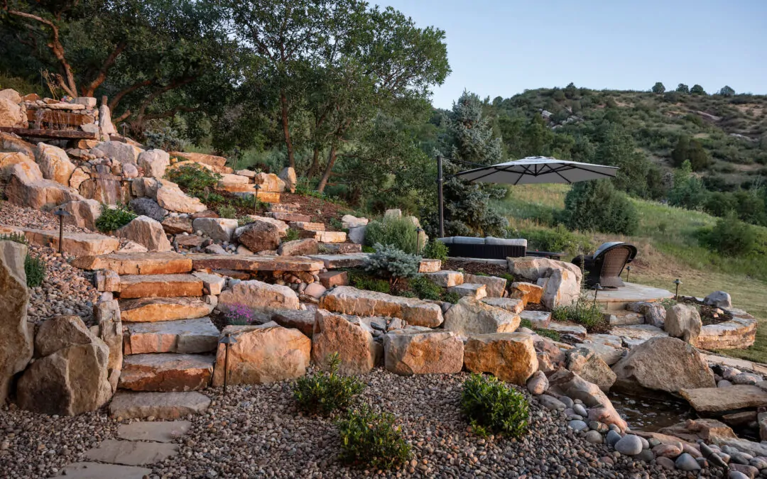 Creating a Drought-Tolerant Landscape: Tips and Tricks