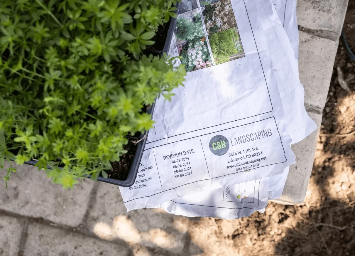 landscape-designers landscape designers