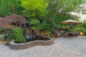 backyard sanctuary