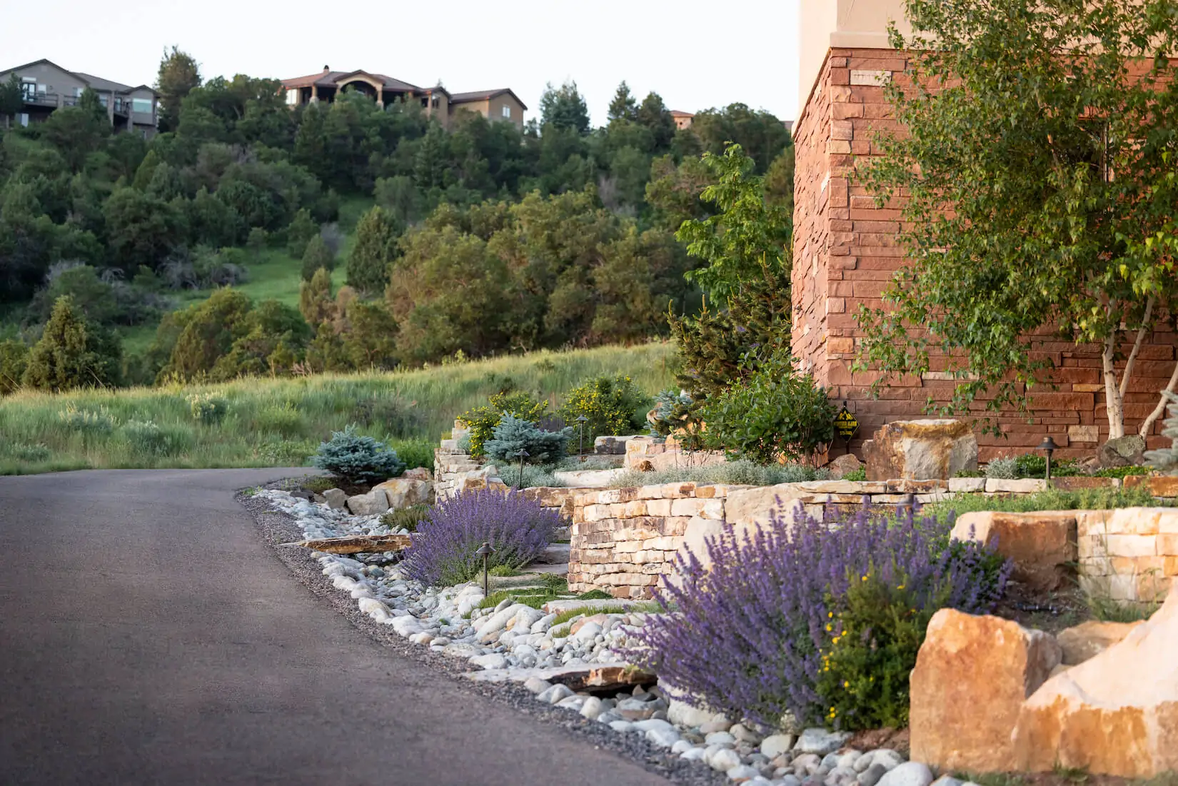 statement-shrubs-in-colorado statement shrubs in colorado