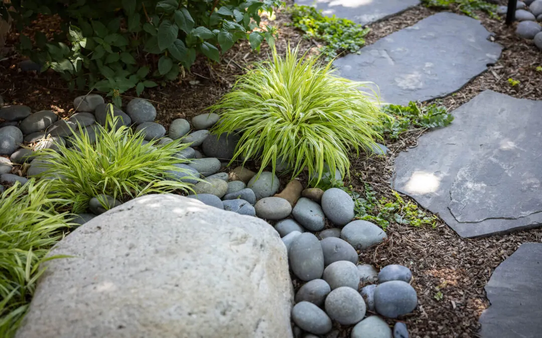 How Often Should I Water My Garden?
