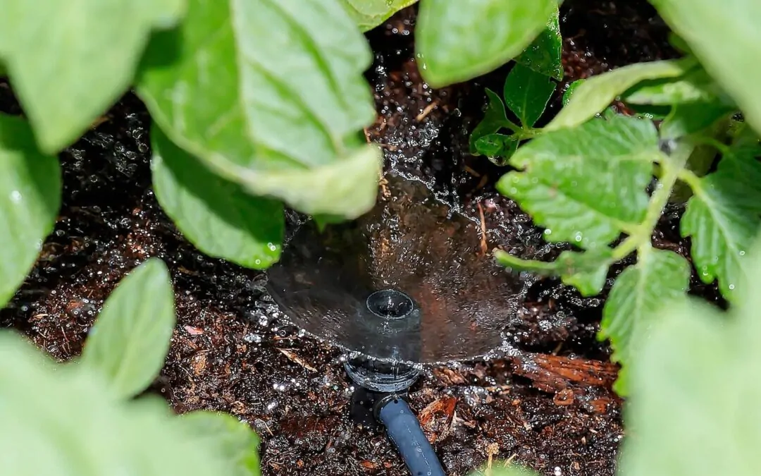 What is Drip Irrigation?
