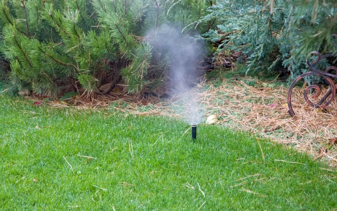 What Happens If You Don’t Winterize Your Irrigation System?